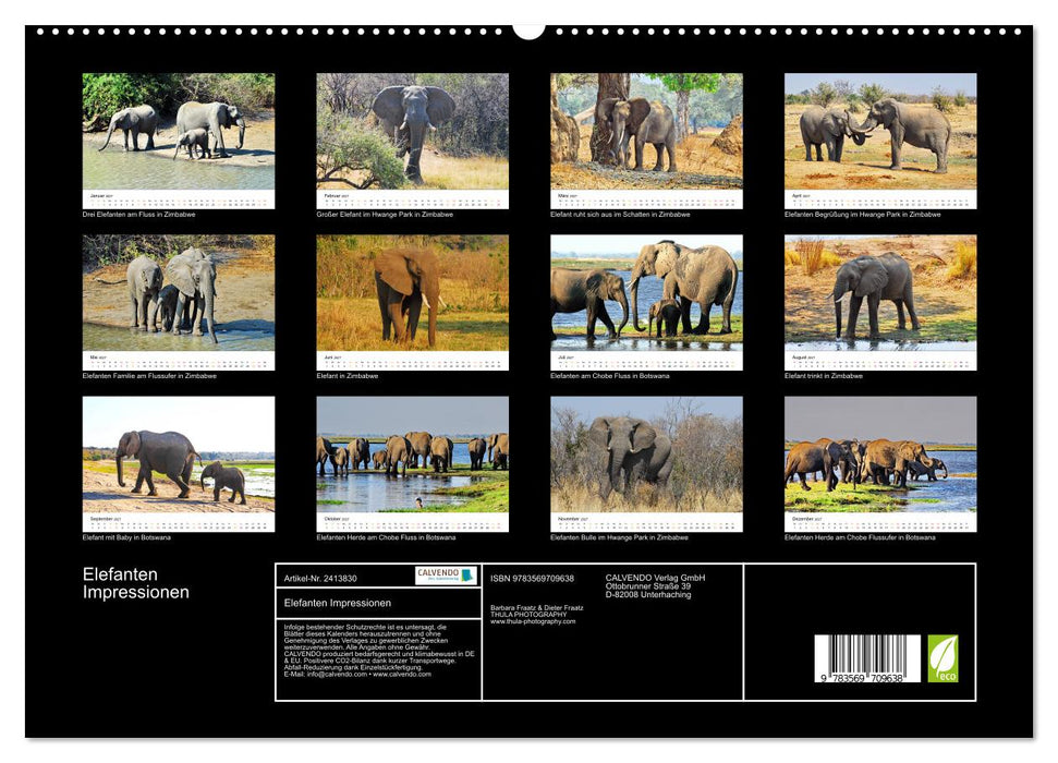 Elefanten Impressionen (CALVENDO Premium Wandkalender 2027)