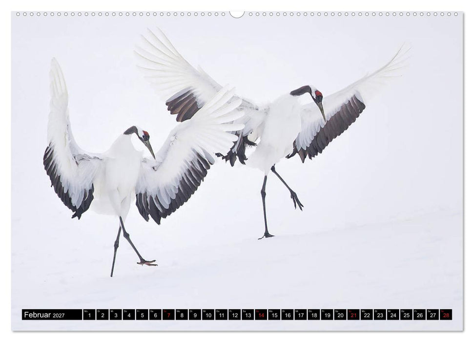 Japanische Vogelwelt im Winter (CALVENDO Premium Wandkalender 2027)
