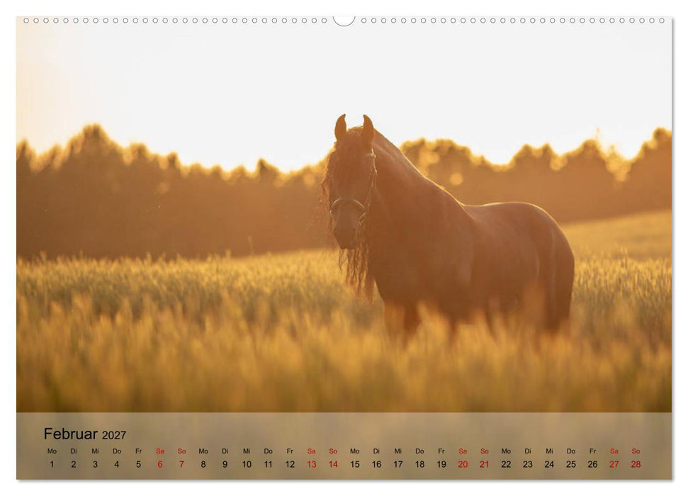 Pferdezauber 2027 (CALVENDO Wandkalender 2027)
