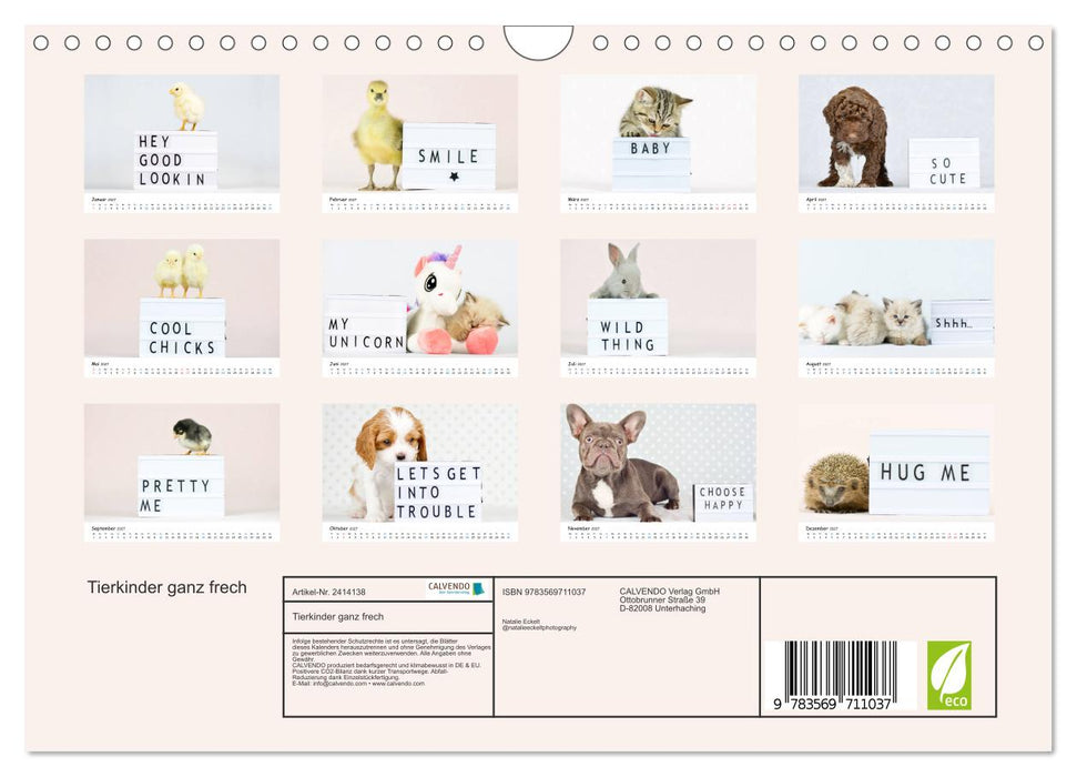Tierkinder ganz frech (CALVENDO Wandkalender 2027)
