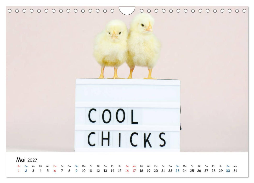 Tierkinder ganz frech (CALVENDO Wandkalender 2027)