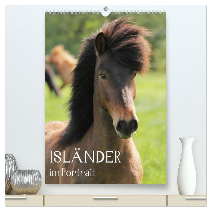 Isländer im Portrait (CALVENDO Premium Wandkalender 2027)