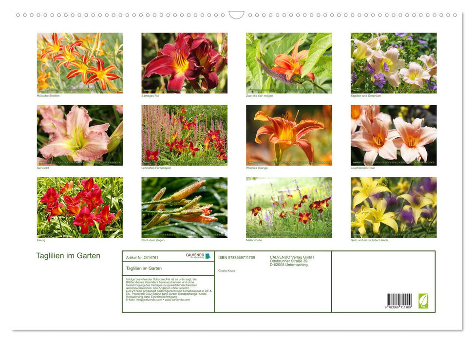 Taglilien im Garten (CALVENDO Wandkalender 2027)