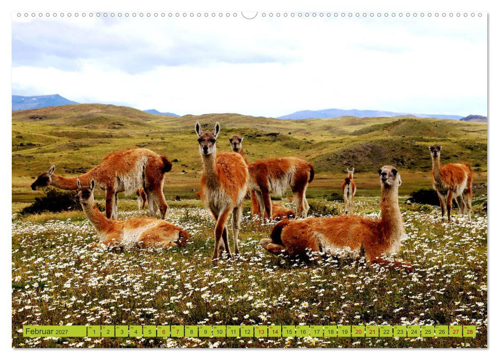 Märchenwelt Patagonien (CALVENDO Premium Wandkalender 2027)