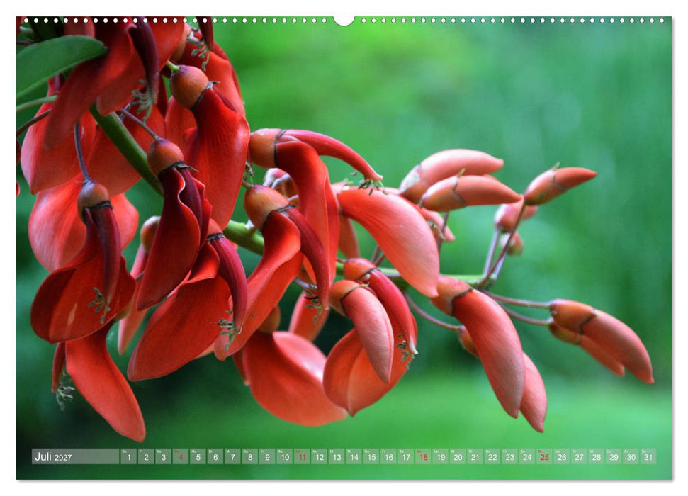 Fernöstlicher Zauber Japanischer Garten Leverkusen (CALVENDO Premium Wandkalender 2027)
