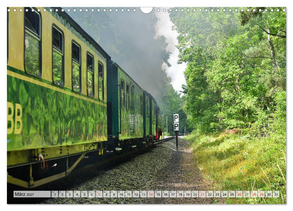 Mit Dampf über die Insel Rügen (CALVENDO Wandkalender 2027)