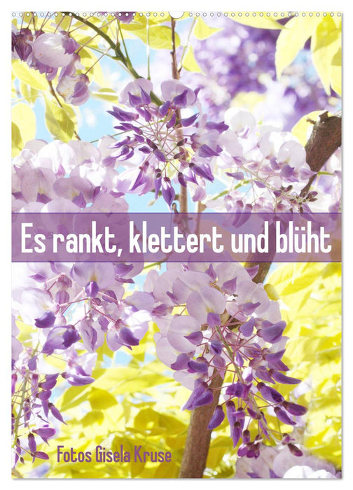 Es rankt, klettert und blüht (CALVENDO Wandkalender 2027)