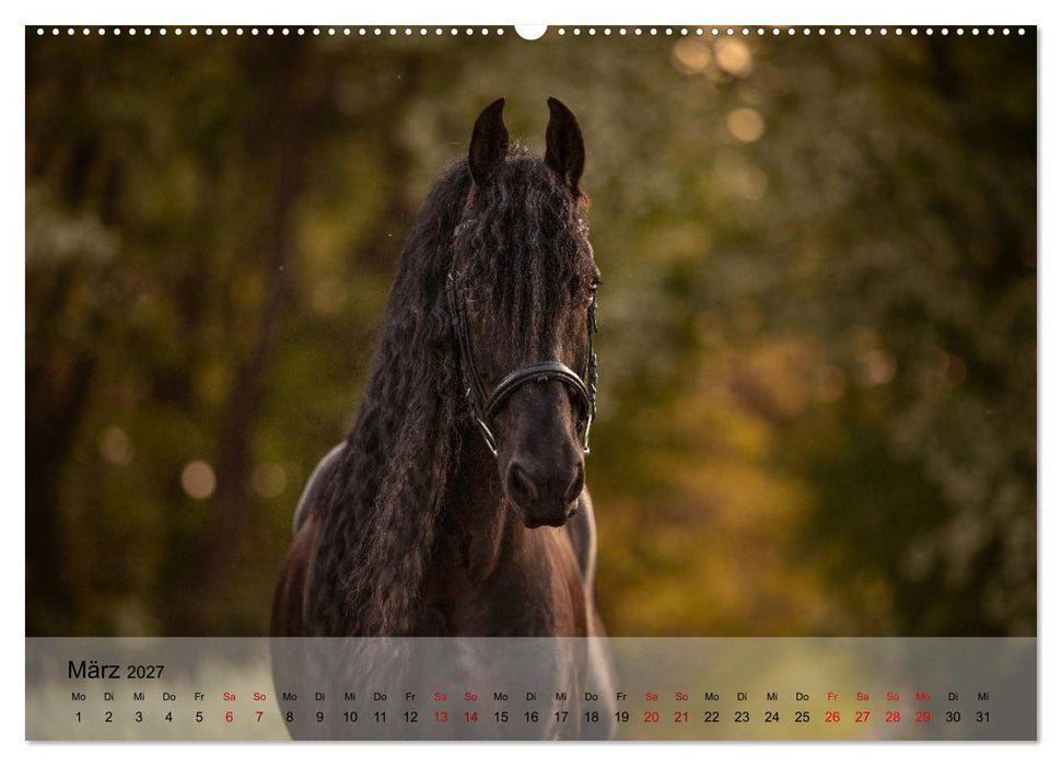 Pferdezauber 2027 (CALVENDO Premium Wandkalender 2027)