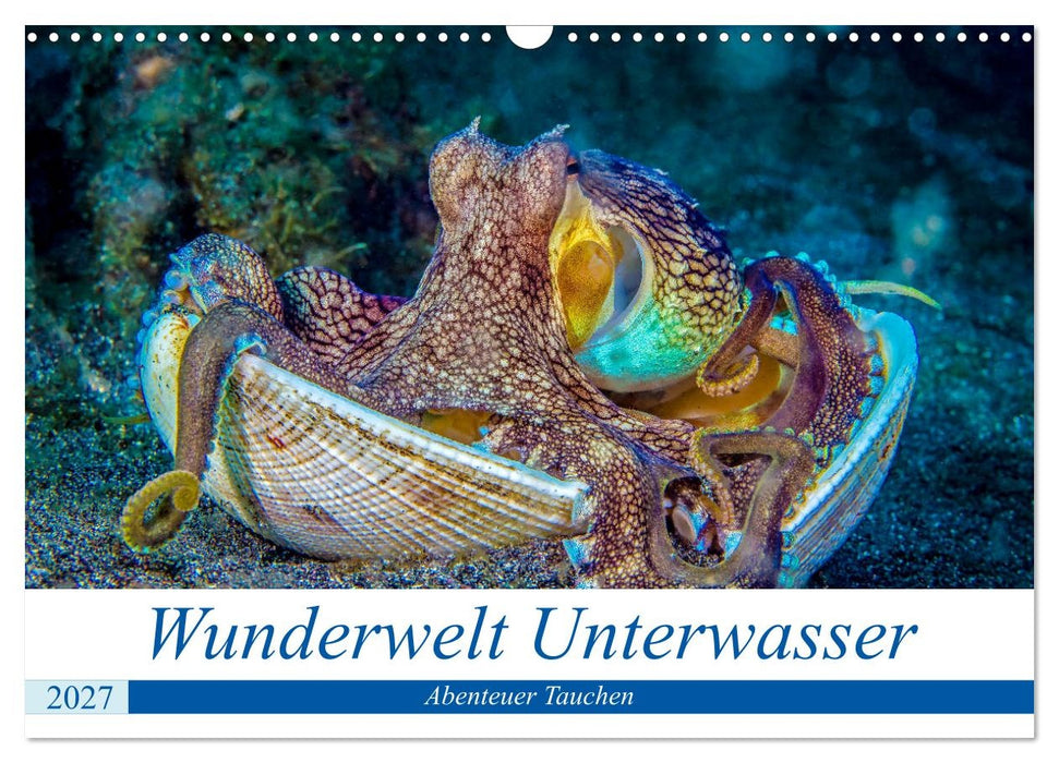 Wunderwelt Unterwasser (CALVENDO Wandkalender 2027)