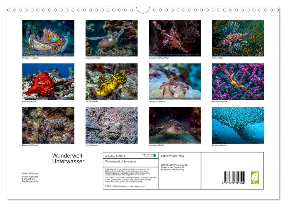Wunderwelt Unterwasser (CALVENDO Wandkalender 2027)
