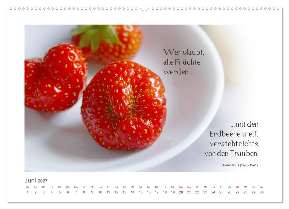 FunnyFood (CALVENDO Premium Wandkalender 2027)