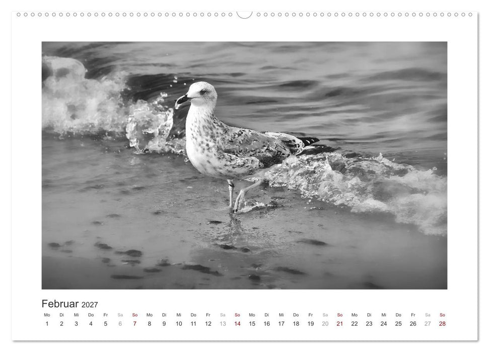 Monochrom Meer (CALVENDO Premium Wandkalender 2027)