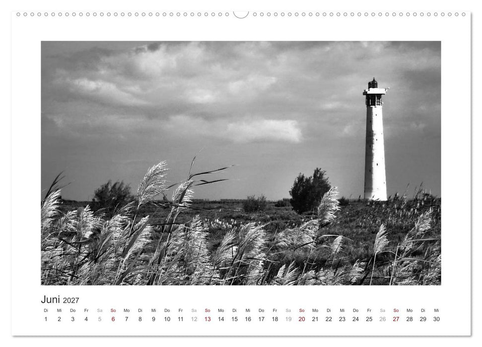 Monochrom Meer (CALVENDO Premium Wandkalender 2027)