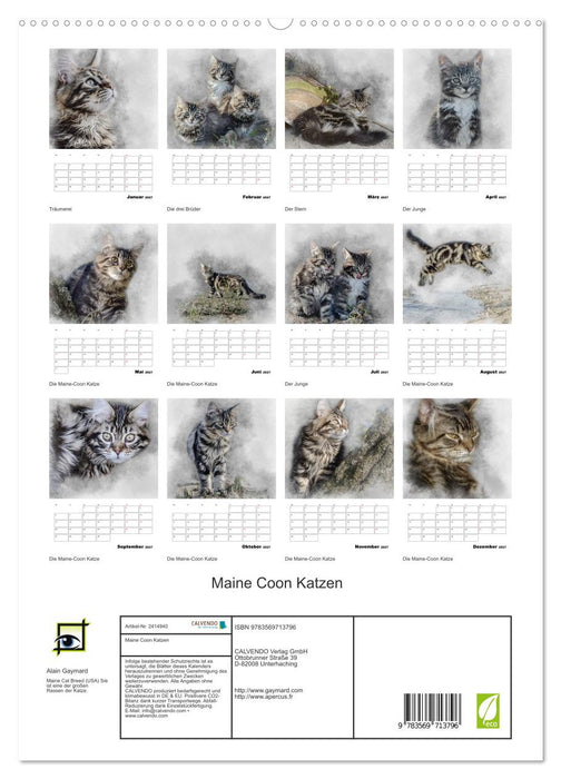Maine Coon Katzen (CALVENDO Premium Wandkalender 2027)