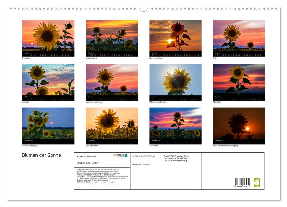 Blumen der Sonne (CALVENDO Wandkalender 2027)