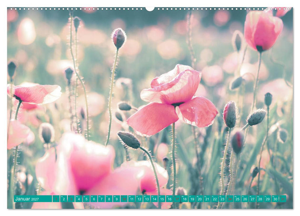 Mohnblumen - Fotografie mit Magie (CALVENDO Wandkalender 2027)