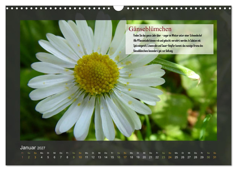 Outdoor-Survival-Kalender (CALVENDO Wandkalender 2027)