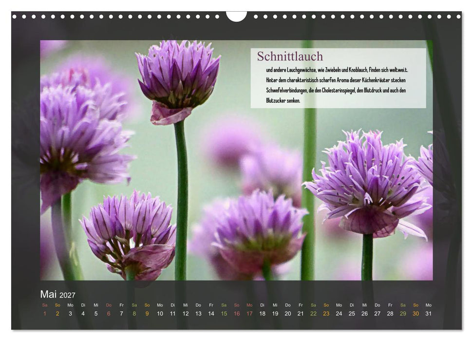 Outdoor-Survival-Kalender (CALVENDO Wandkalender 2027)