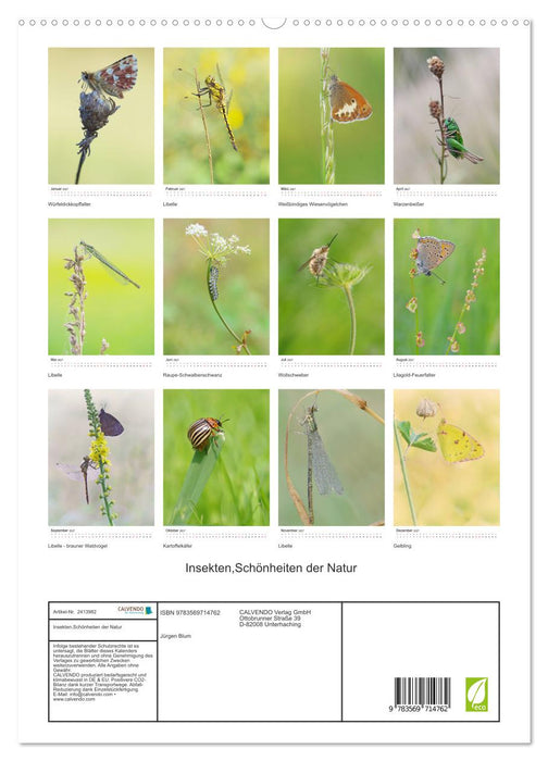 Insekten,Schönheiten der Natur (CALVENDO Premium Wandkalender 2027)