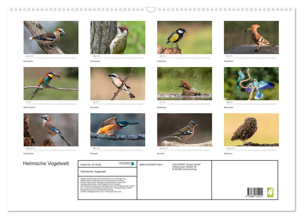 Heimische Vogelwelt (CALVENDO Wandkalender 2027)