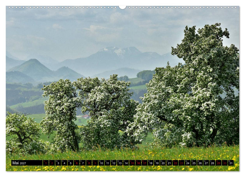 Frühling im Mostviertel (CALVENDO Premium Wandkalender 2027)