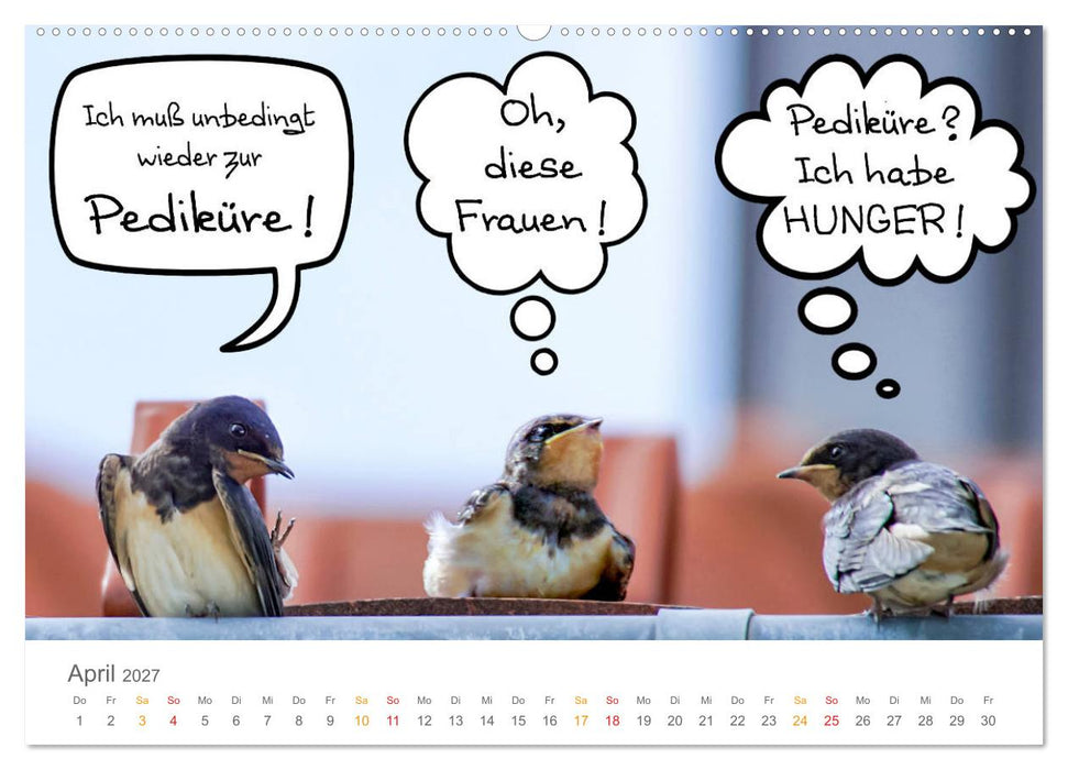 Wenn Schwalben reden (CALVENDO Premium Wandkalender 2027)