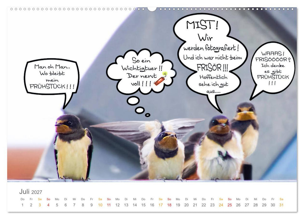 Wenn Schwalben reden (CALVENDO Premium Wandkalender 2027)