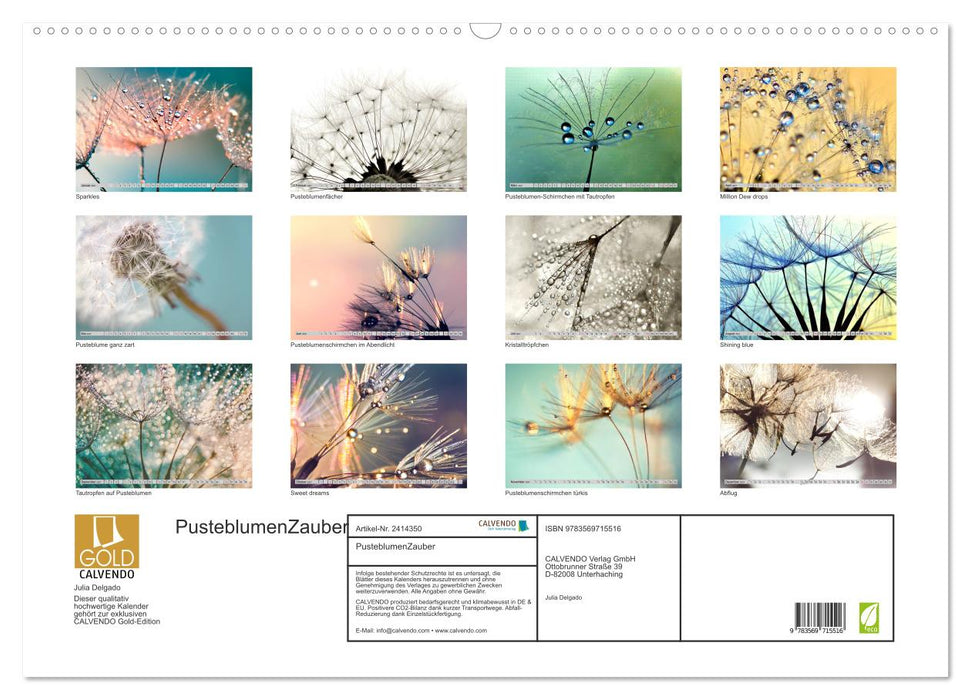 PusteblumenZauber (CALVENDO Wandkalender 2027)