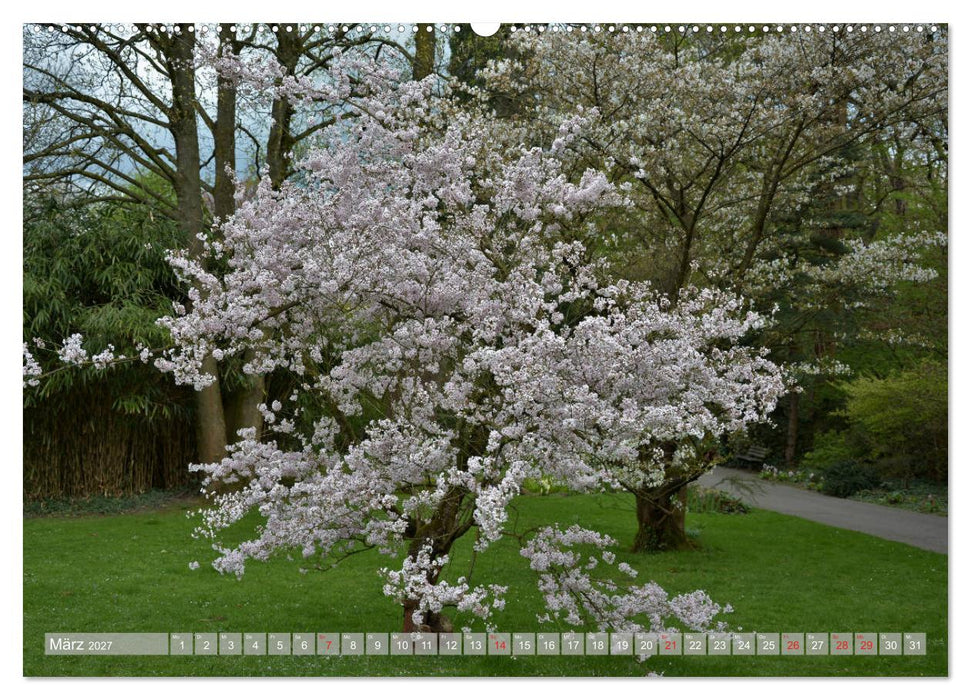 Fernöstlicher Zauber Japanischer Garten Leverkusen (CALVENDO Wandkalender 2027)