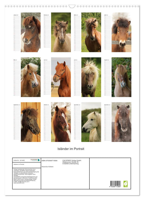 Isländer im Portrait (CALVENDO Wandkalender 2027)