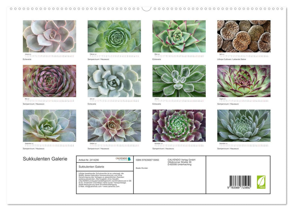 Sukkulenten Galerie (CALVENDO Premium Wandkalender 2027)