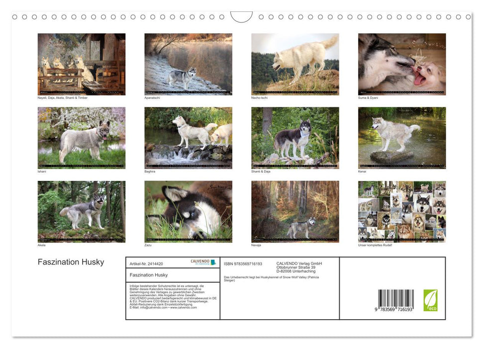 Faszination Husky (CALVENDO Wandkalender 2027)