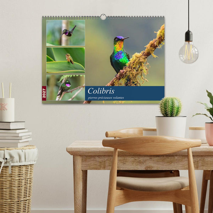 Colibris - pierres précieuses volantes (CALVENDO Calendrier mensuel 2027)