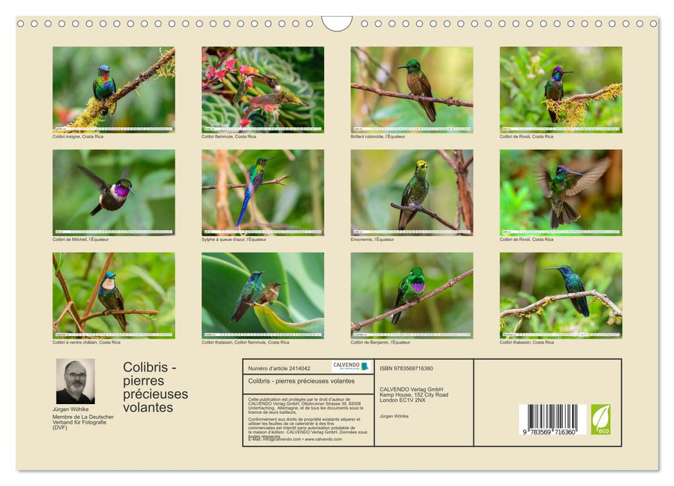 Colibris - pierres précieuses volantes (CALVENDO Calendrier mensuel 2027)