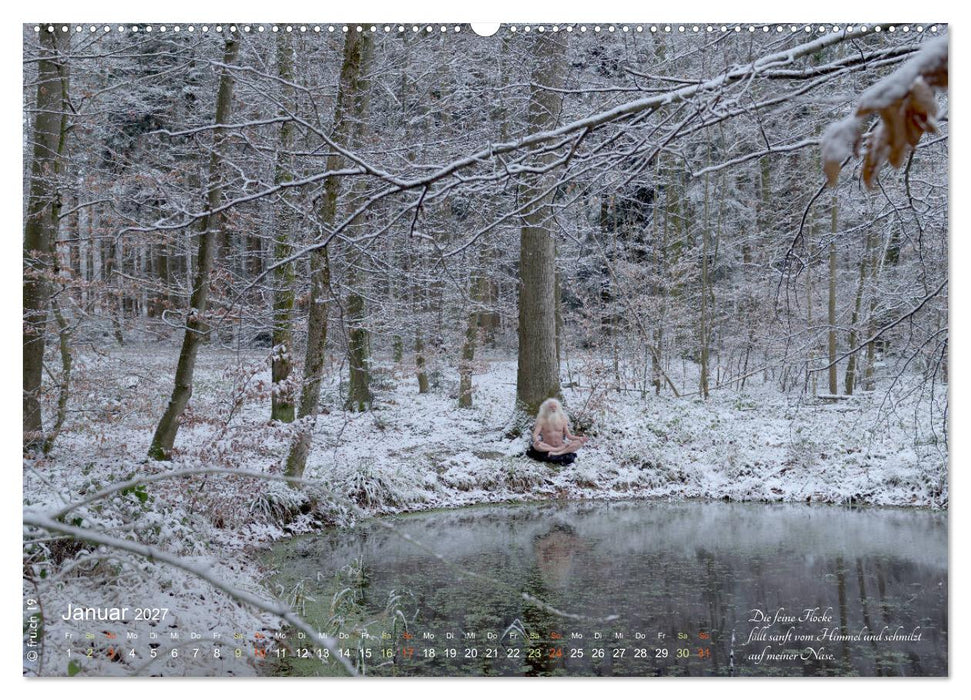 HAIKU AM TEICH (CALVENDO Wandkalender 2027)