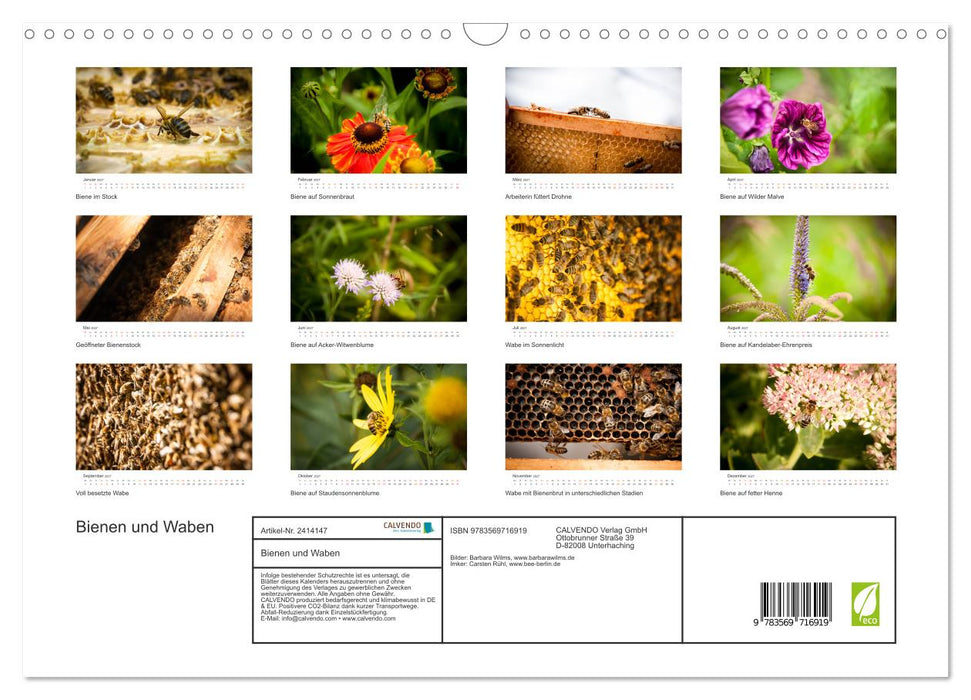 Bienen und Waben (CALVENDO Wandkalender 2027)
