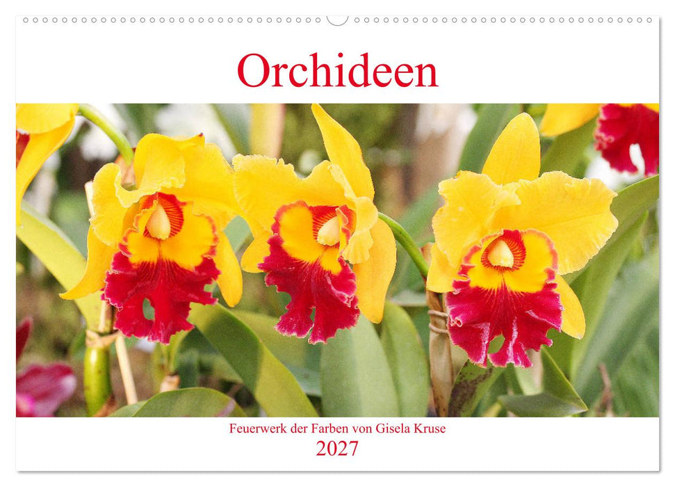 Orchideen Feuerwerk der Farben (CALVENDO Wandkalender 2027)