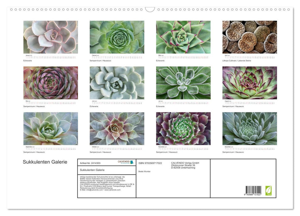 Sukkulenten Galerie (CALVENDO Wandkalender 2027)