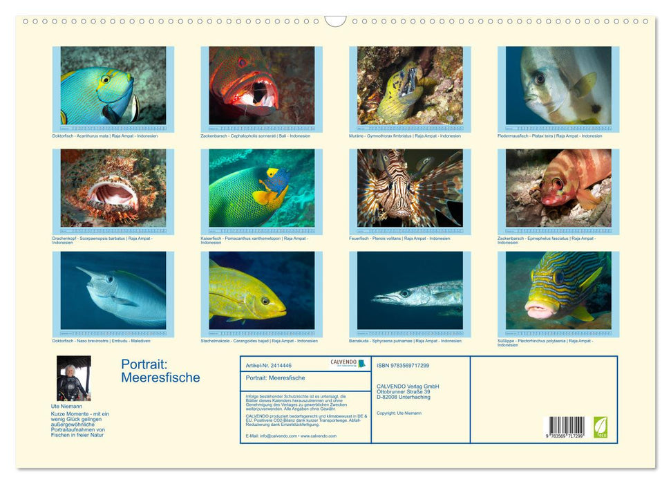 Portrait: Meeresfische (CALVENDO Wandkalender 2027)