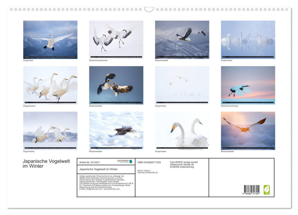 Japanische Vogelwelt im Winter (CALVENDO Wandkalender 2027)