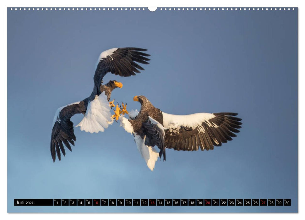 Japanische Vogelwelt im Winter (CALVENDO Wandkalender 2027)