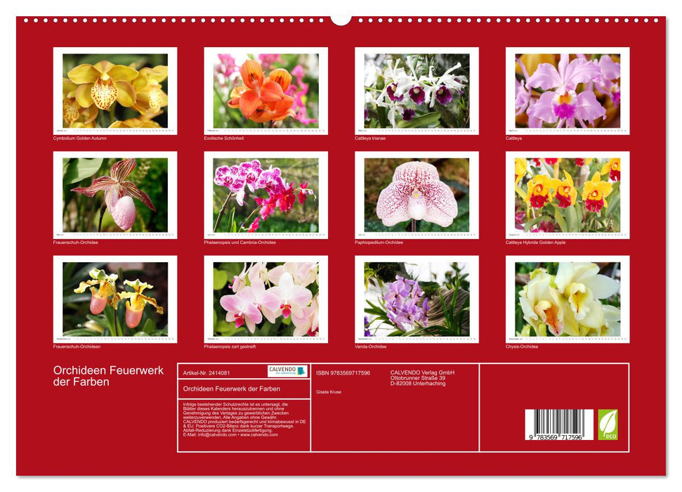 Orchideen Feuerwerk der Farben (CALVENDO Premium Wandkalender 2027)