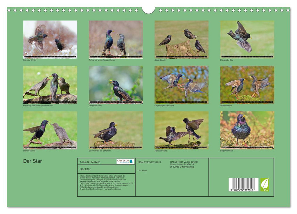 Der Star (CALVENDO Wandkalender 2027)