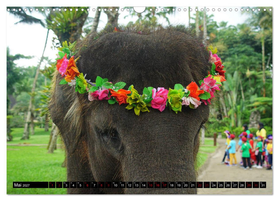 Bali. Im Reich der Götter (CALVENDO Wandkalender 2027)
