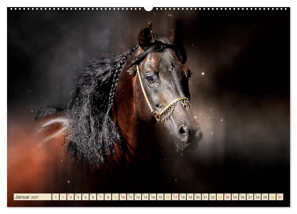 Eleganz und Schönheit - Pferde (CALVENDO Wandkalender 2027)
