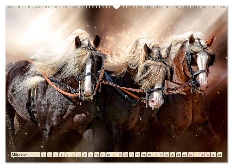 Eleganz und Schönheit - Pferde (CALVENDO Wandkalender 2027)