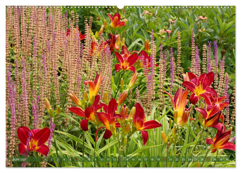 Taglilien im Garten (CALVENDO Premium Wandkalender 2027)