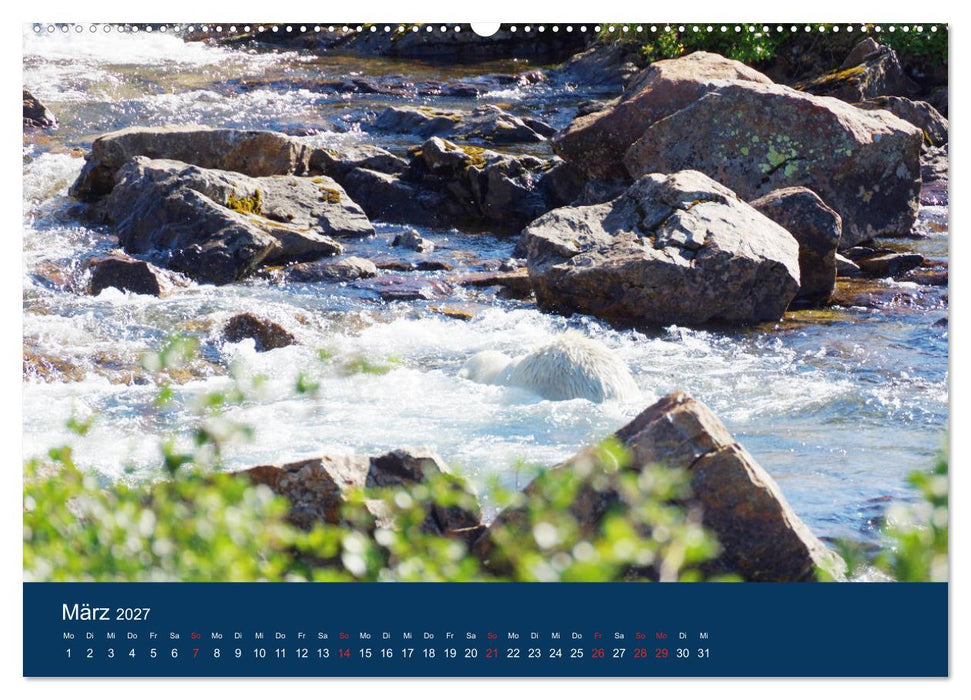 Das Leben der etwas "anderen" Eisbären! (CALVENDO Premium Wandkalender 2027)