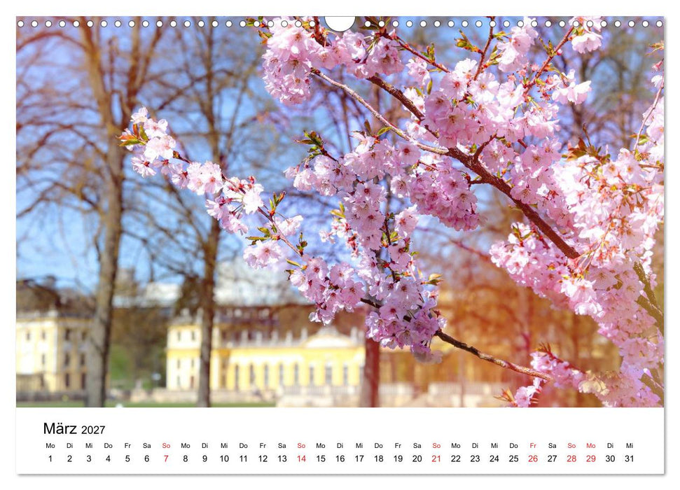 Kassel - Impressionen (CALVENDO Wandkalender 2027)