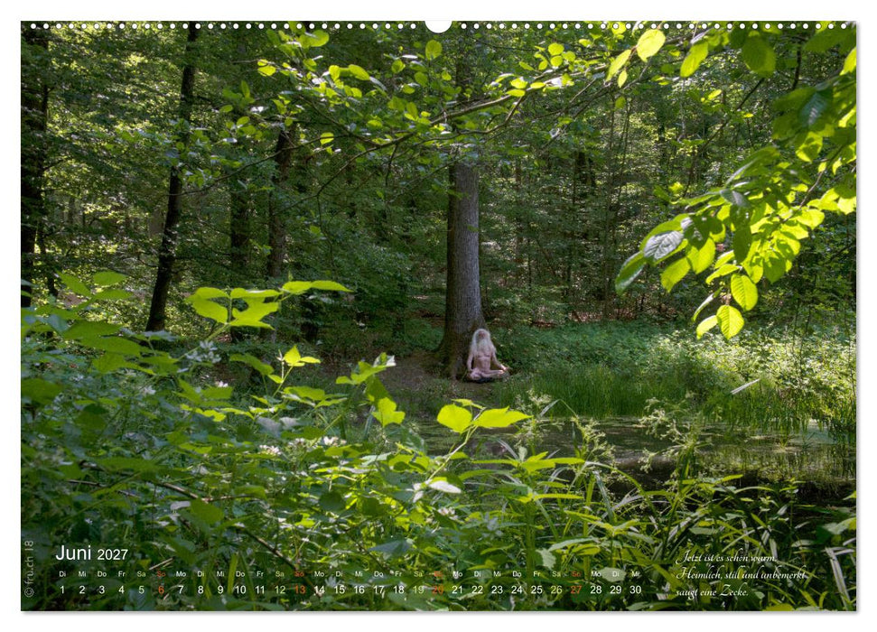 HAIKU AM TEICH (CALVENDO Premium Wandkalender 2027)